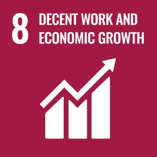 UN sustainable development goals