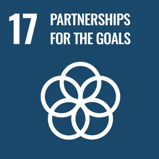 UN sustainable development goals